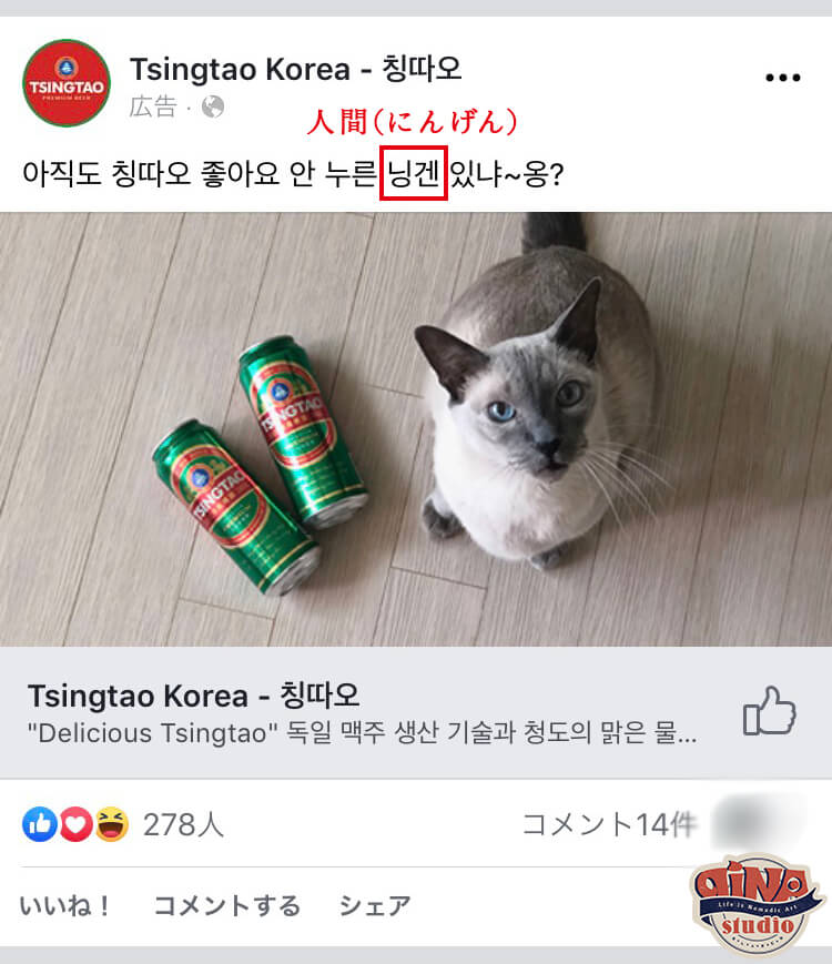 韓国ネット広告事例 Facebookのpage Like Adのキャプションにまさかの